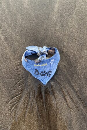 Bandana para perro - Dog Azul